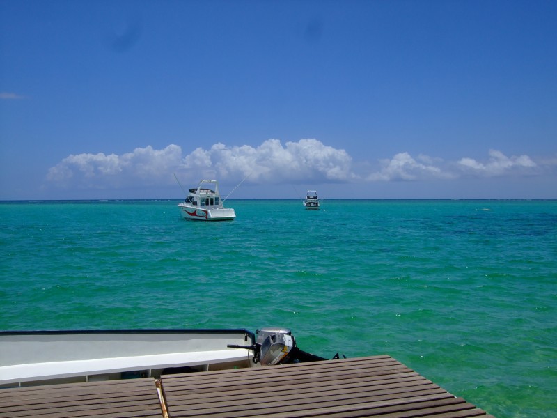 Mauritius 2010 - 0193 
